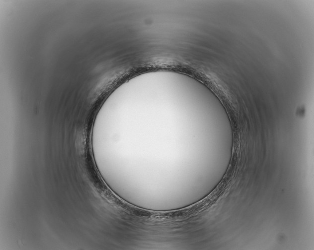 X0000091220640200708091138
