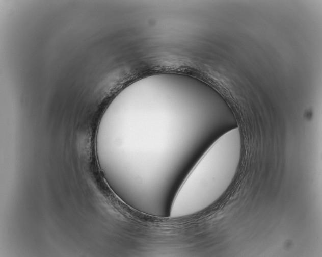 X0000091220642200708091138