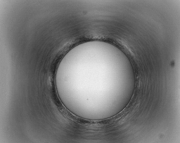X0000091220643200708091138