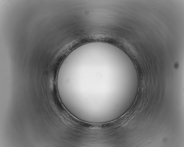 X0000091220644200708091138