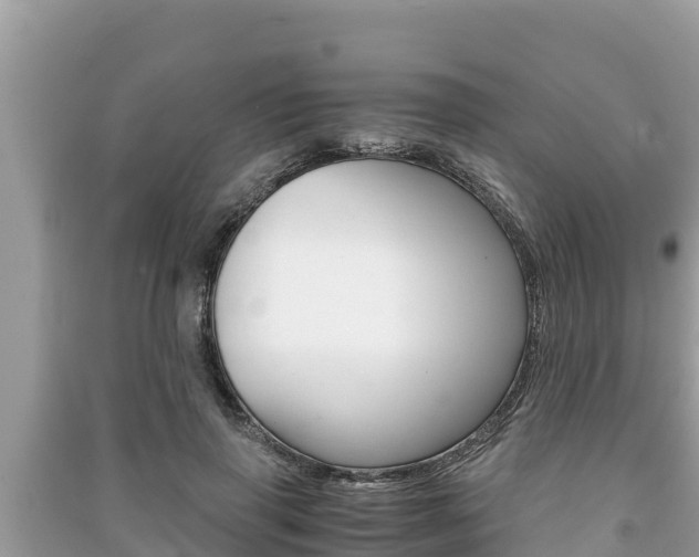 X0000091220645200708091138