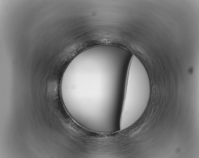 X0000091220646200708091138