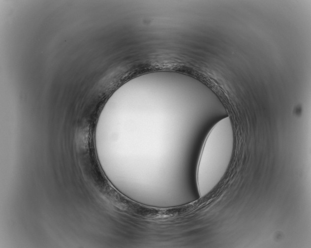 X0000091220647200708091138