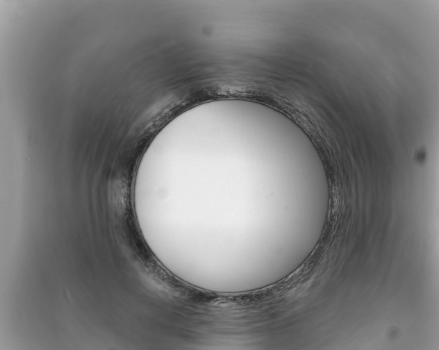 X0000091220648200708091138