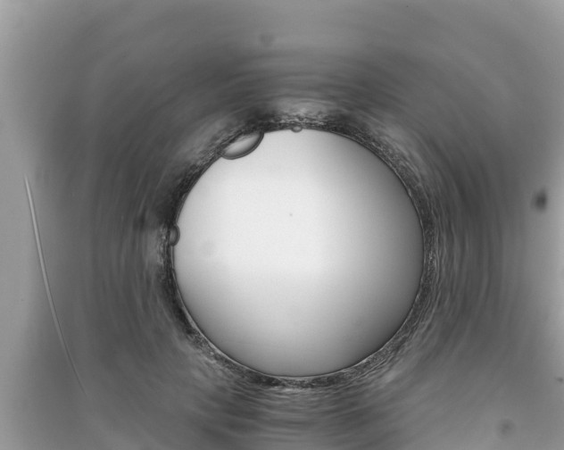X0000091220649200708091138