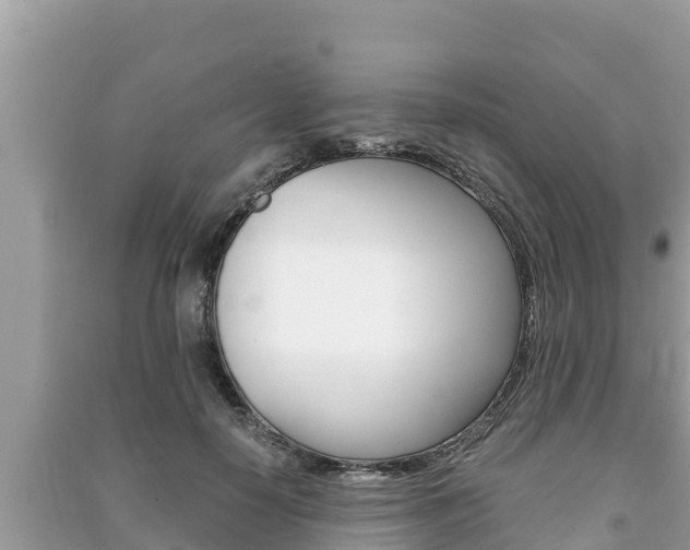 X0000091220650200708091138