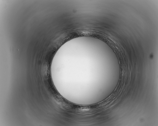 X0000091220651200708091138
