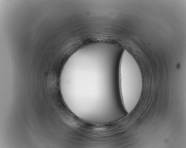X0000091220653200708091138