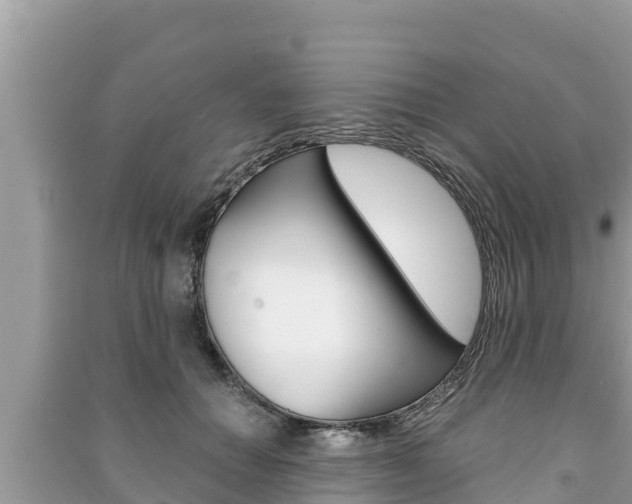 X0000091220654200708091138