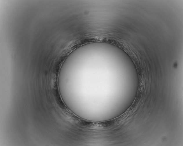 X0000091220656200708091138
