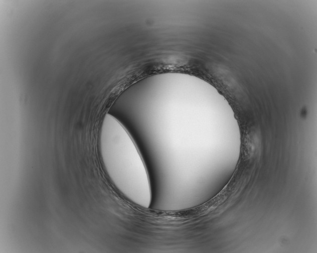 X0000091220657200708091138