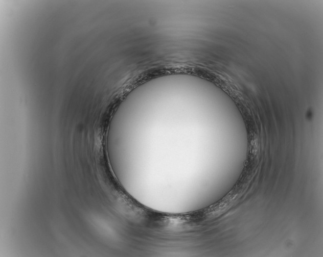 X0000091220662200708091138