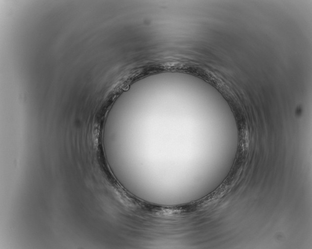 X0000091220664200708091138