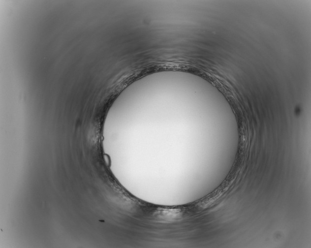 X0000091220665200708091138