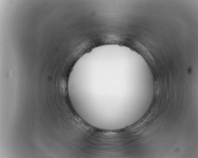 X0000091220669200708091138
