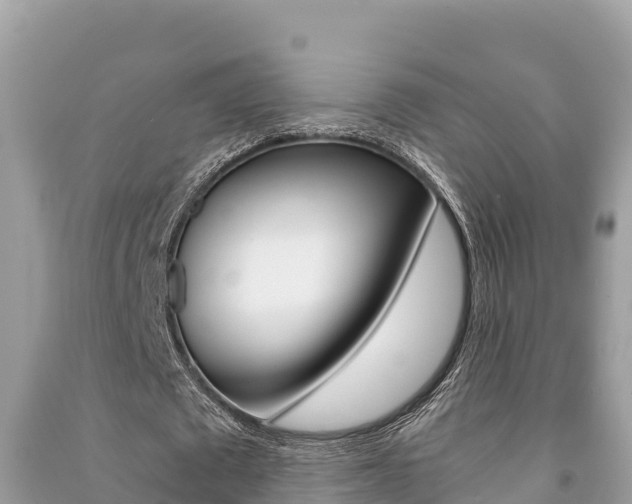 X0000091220673200708091138