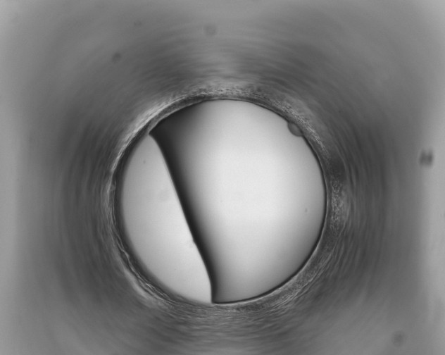 X0000091220674200708091138