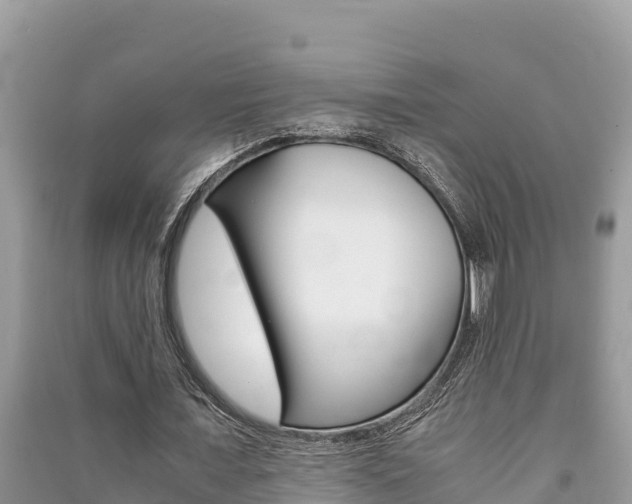 X0000091220675200708091137