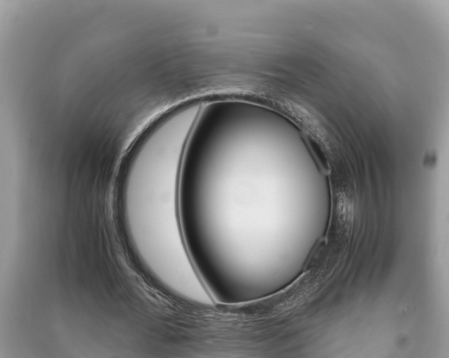 X0000091220676200708091137