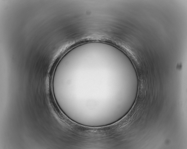 X0000091220678200708091137