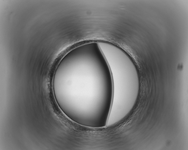 X0000091220680200708091137