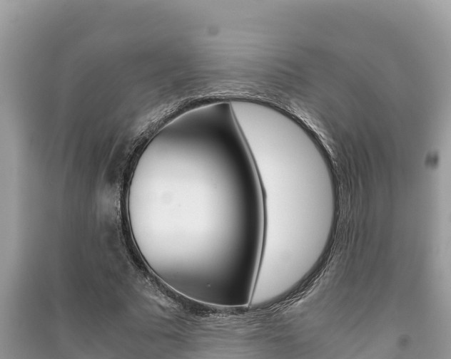 X0000091220681200708091137
