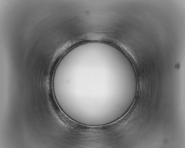 X0000091220682200708091137
