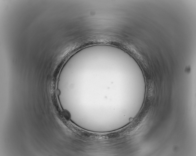X0000091220683200708091137