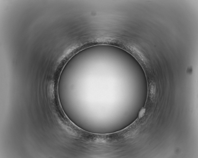 X0000091220684200708091137