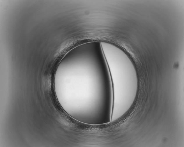 X0000091220685200708091137