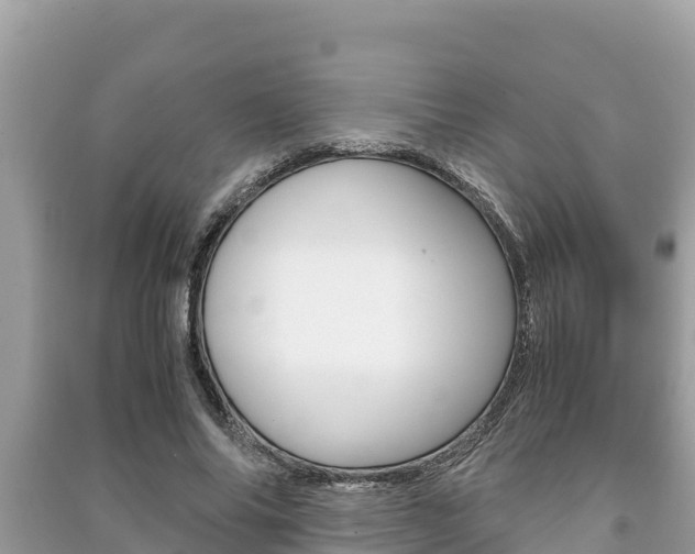 X0000091220686200708091137