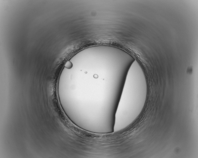 X0000091220687200708091137