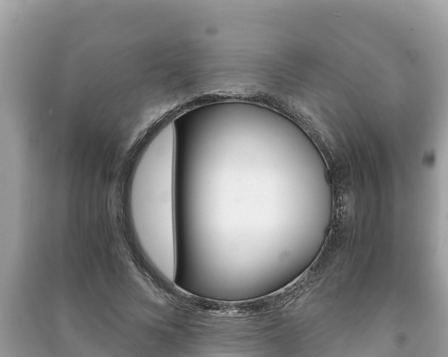 X0000091220688200708091137