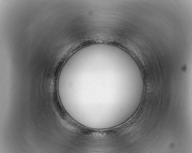 X0000091220690200708091137