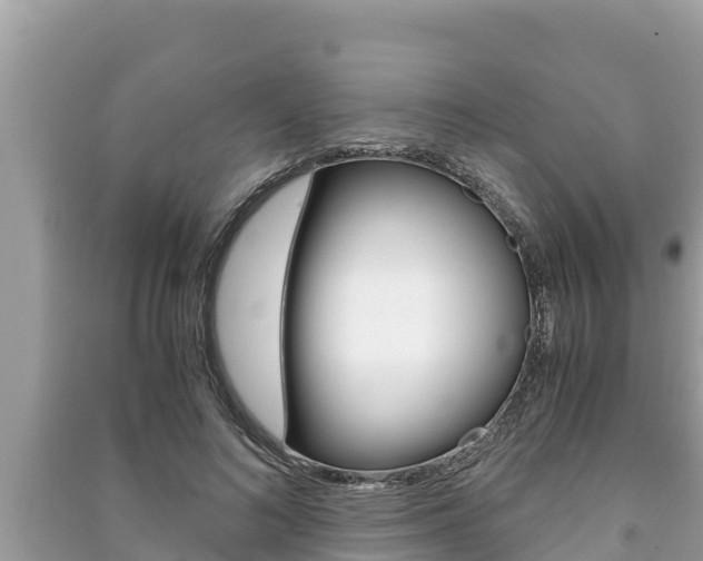 X0000091220692200708091137