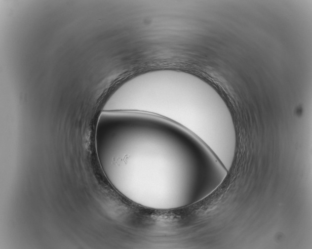 X0000091220693200708091137