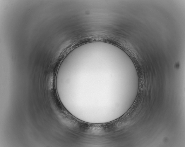 X0000091220694200708091137