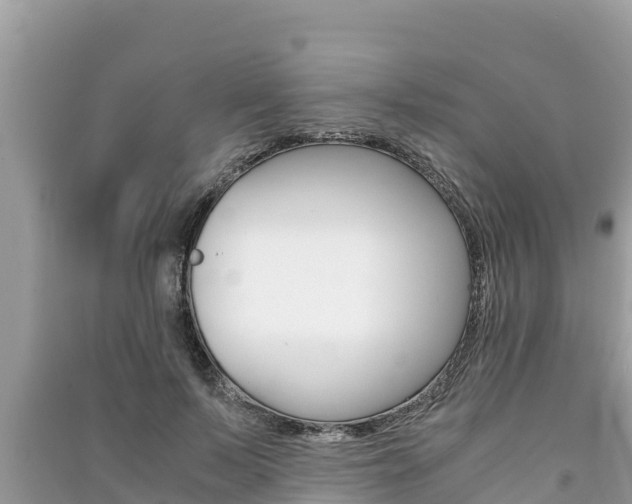 X0000091220695200708091137