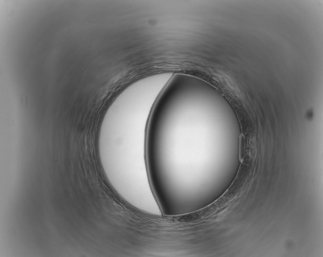 X0000091220697200708091137