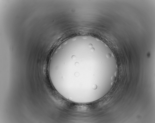 X0000091220698200708091137
