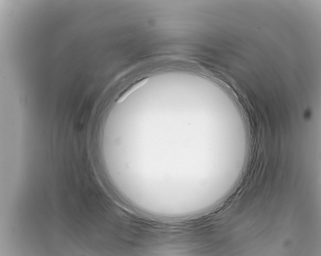 X0000091220701200708091137