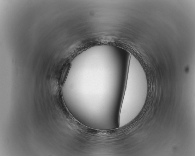 X0000091220704200708091137