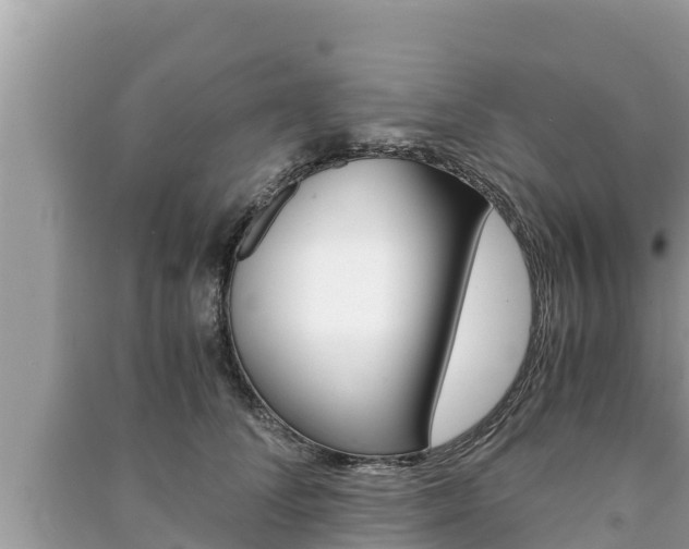 X0000091220708200708091137