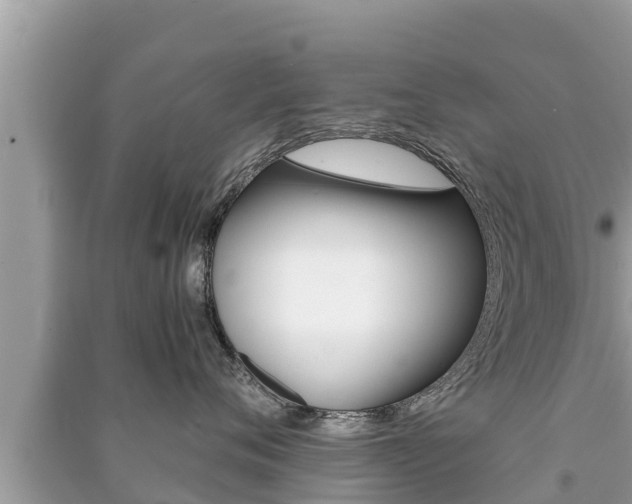 X0000091220720200708091137