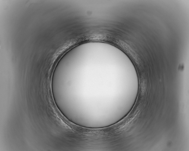 X0000091220721200708091136