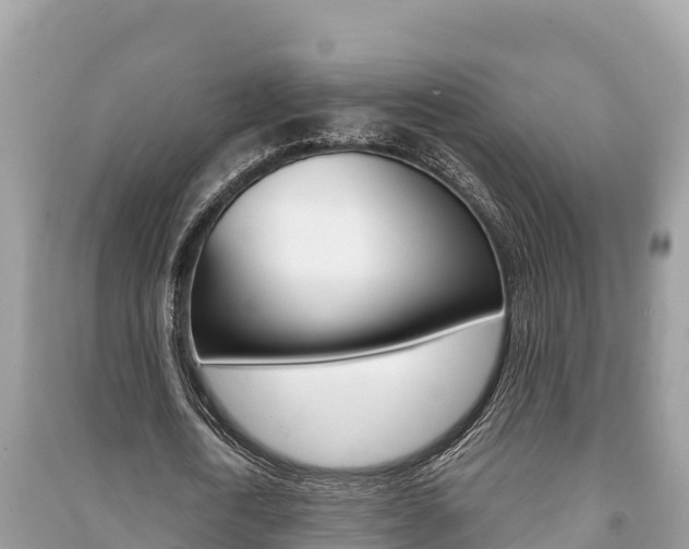 X0000091220722200708091136