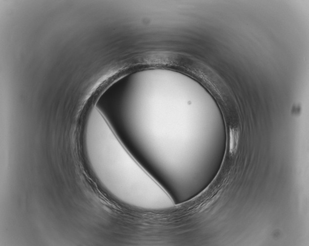 X0000091220723200708091136