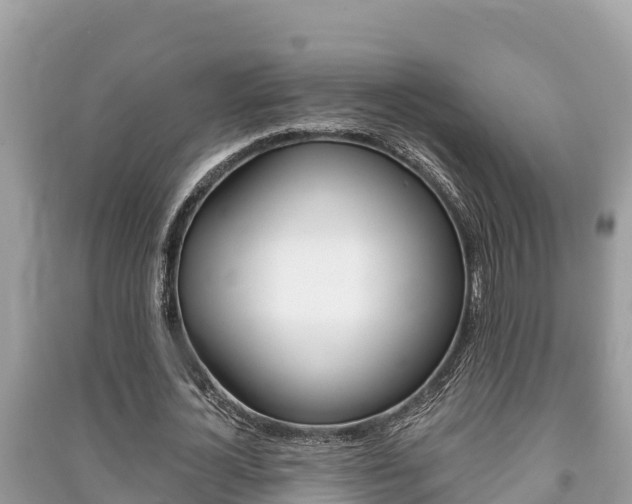 X0000091220724200708091136