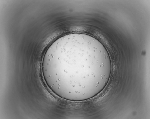 X0000091220725200708091136