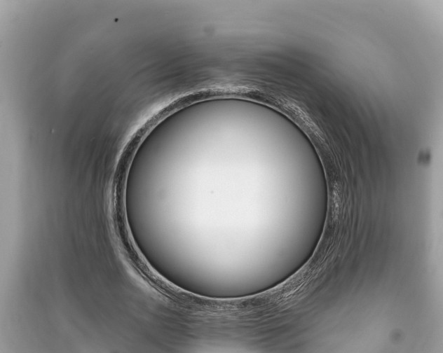 X0000091220726200708091136